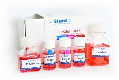 PSdif-BA, Brown Adipocyte Differentiation Kit
